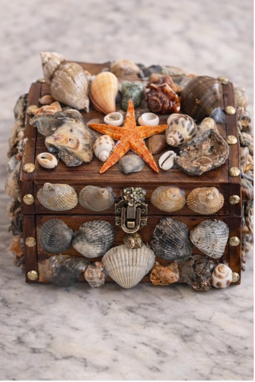 The Salt and Shell Treasure Chest ￼