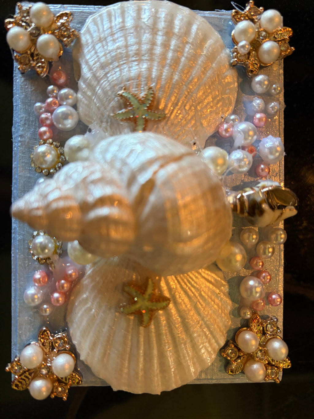 Shell Belle Boxes