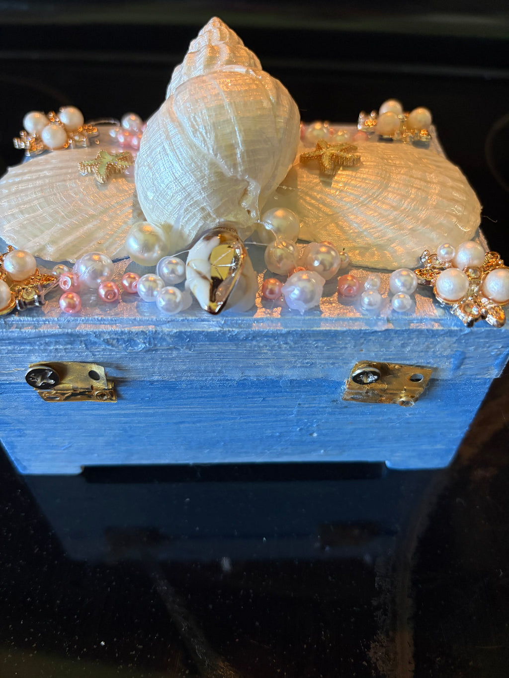 Shell Belle Boxes