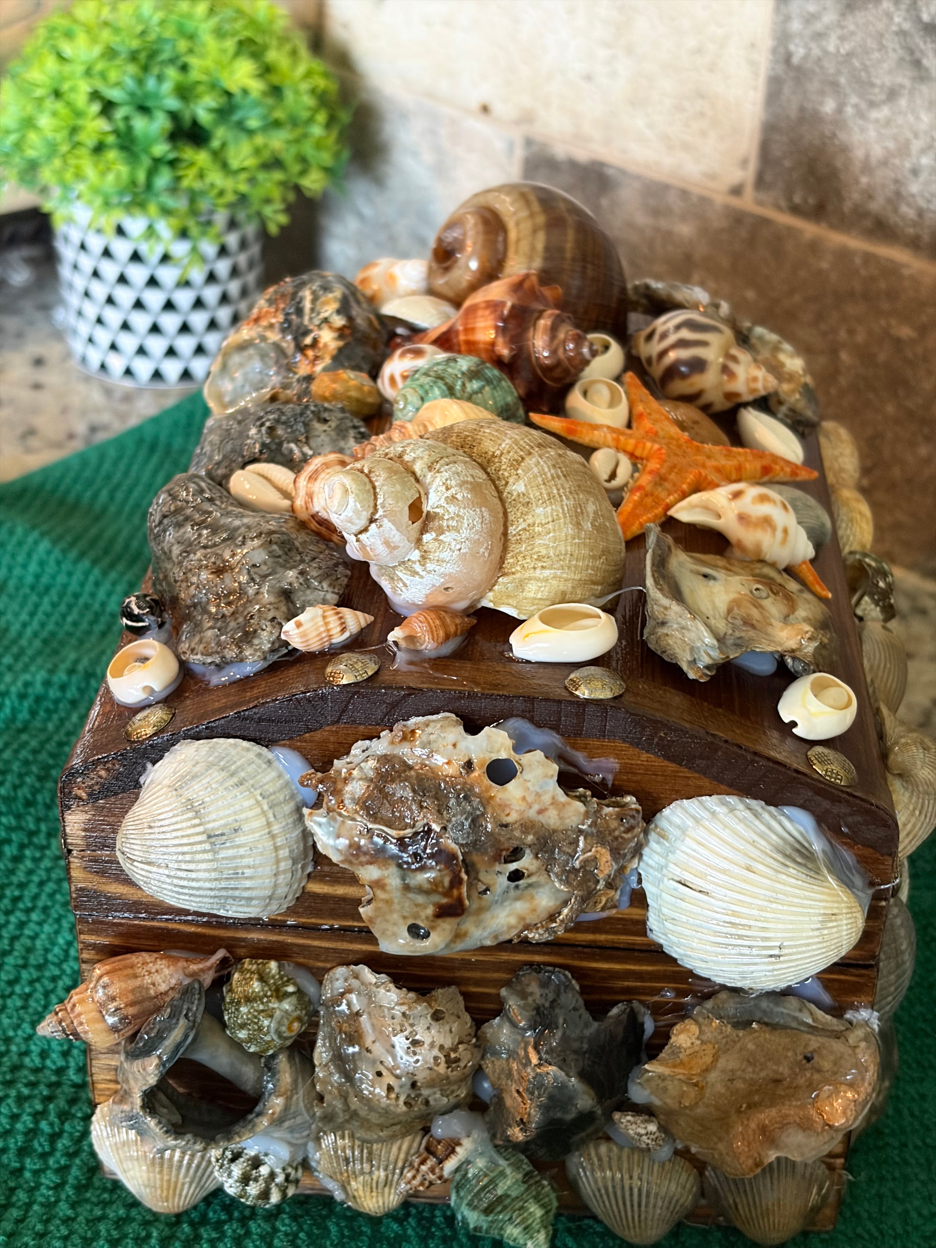 The Salt and Shell Treasure Chest ￼
