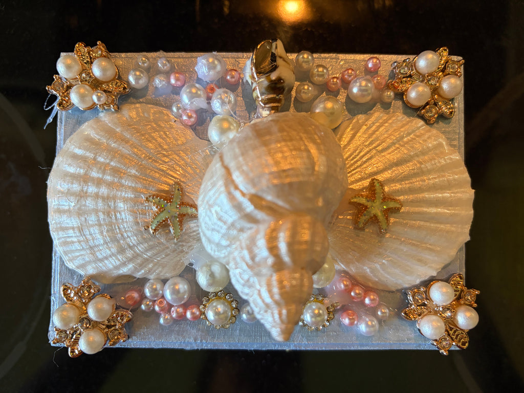 Shell Belle Boxes