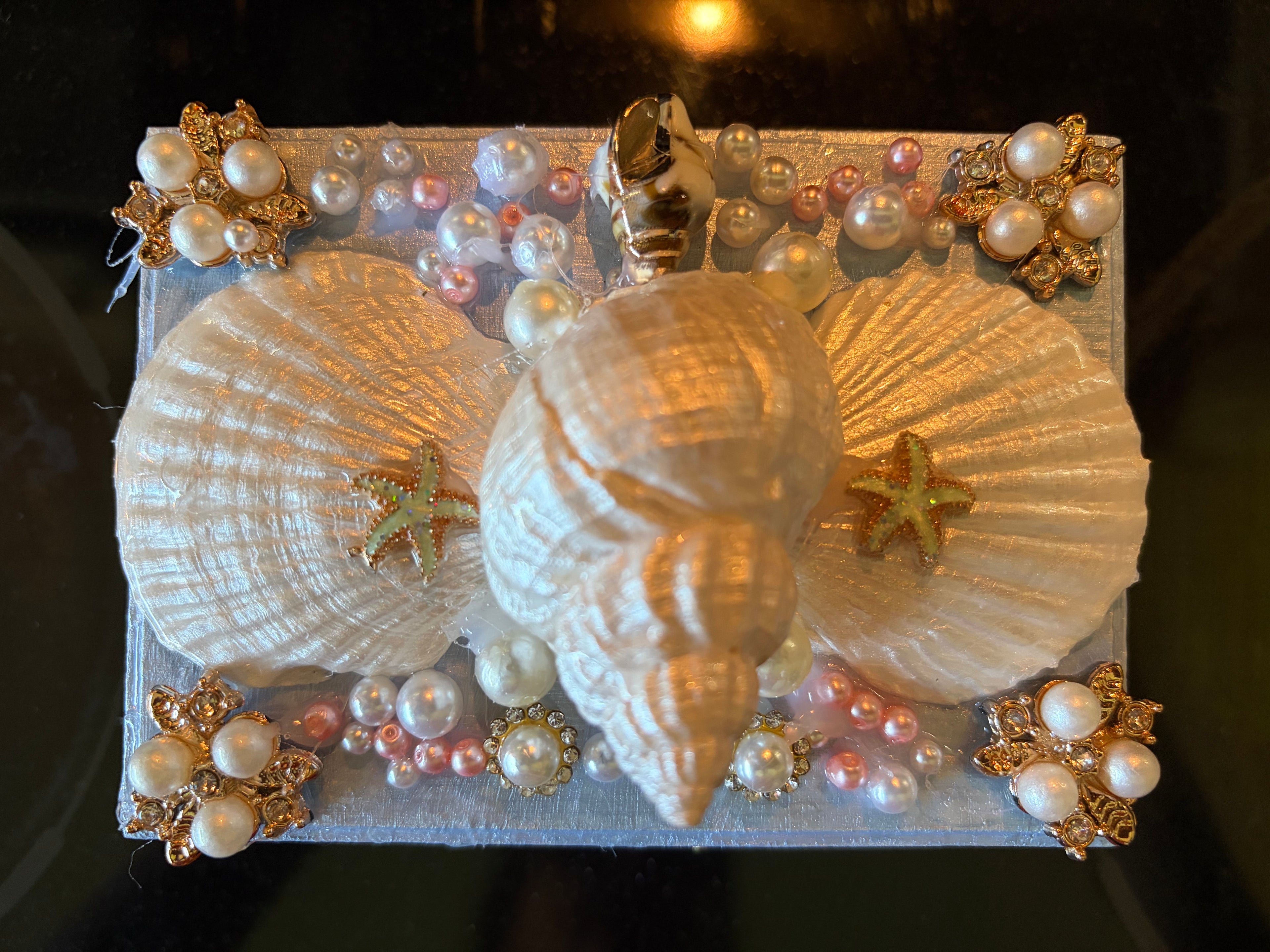 Shell Belle Boxes