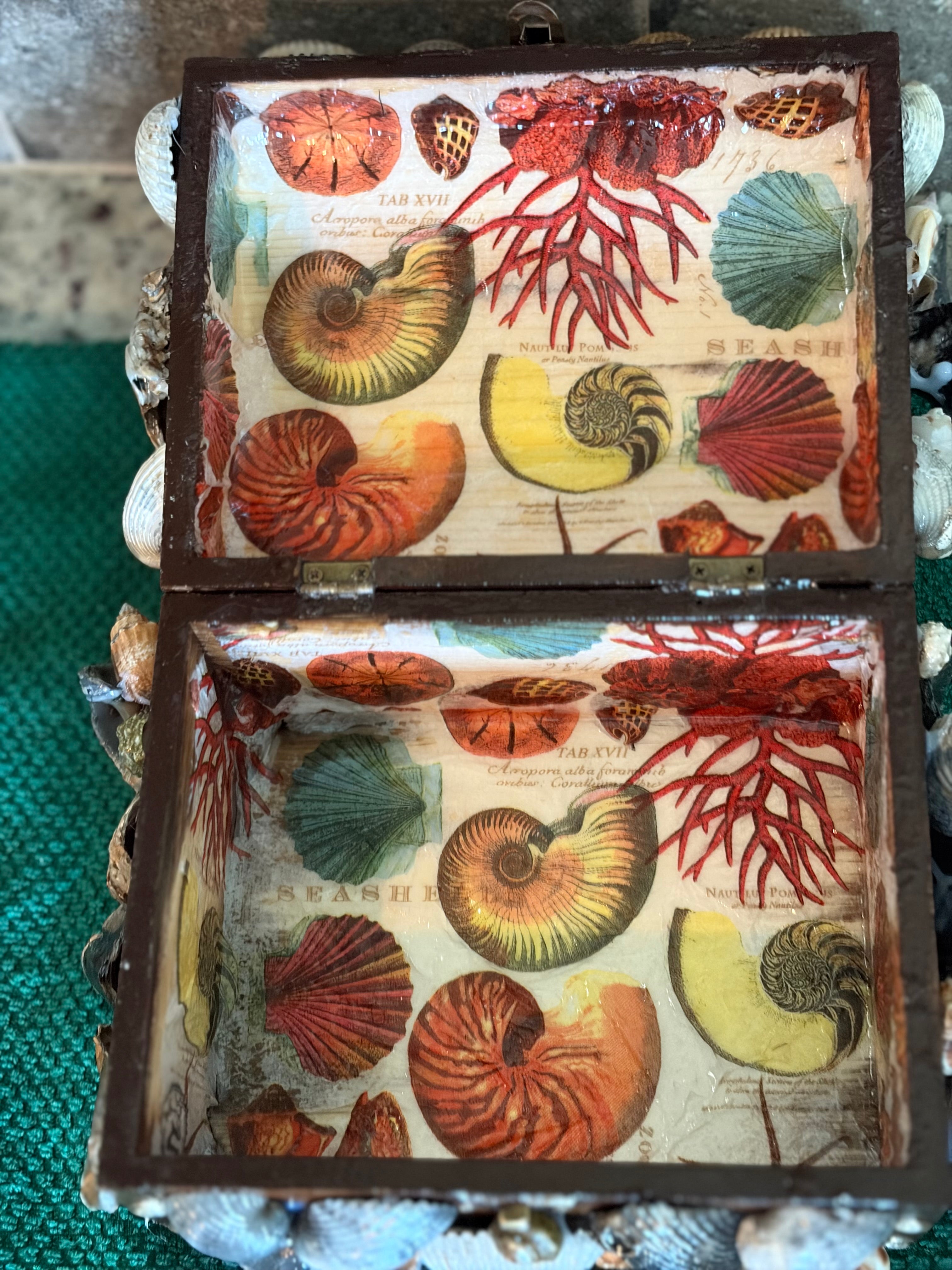 The Salt and Shell Treasure Chest ￼