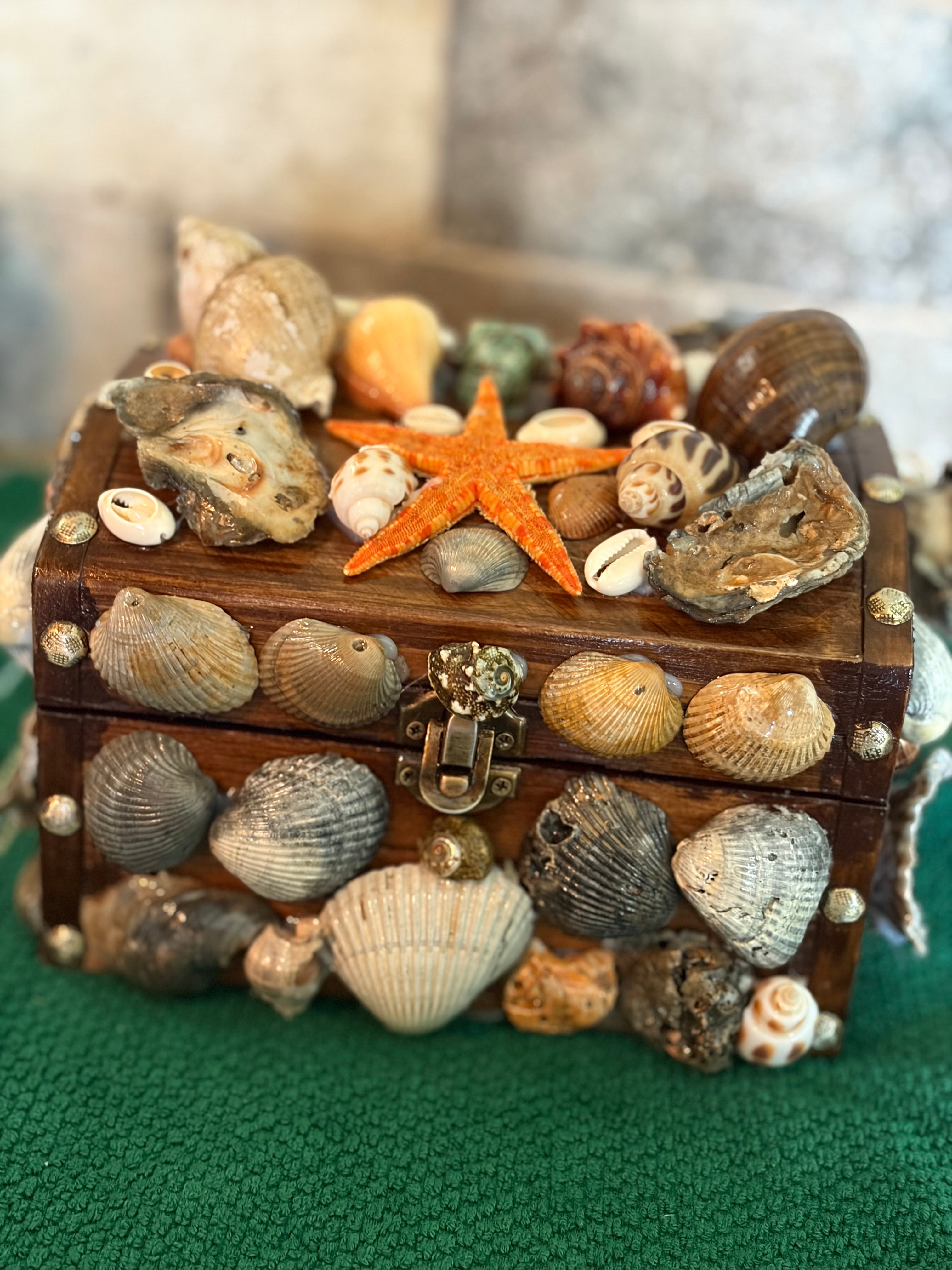 The Salt and Shell Treasure Chest ￼