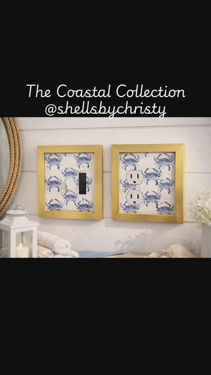 Saltwater Memories Vases and Frames
